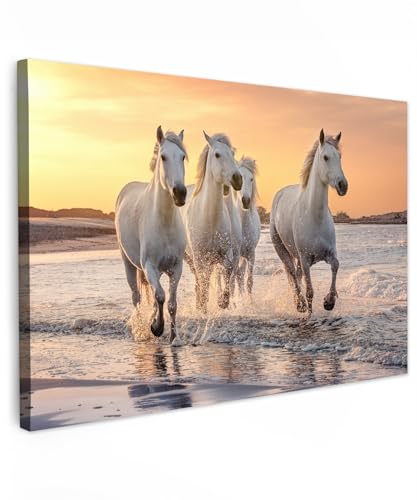 MuchoWow Leinwand Bilder, Einzigartige Wanddeko mit Rahmen, Pferde - Sonne - Meer - Strand - Tiere, Wandbilder Wohnzimmer, Deko Schlafzimmer 90x60 cm von MuchoWow