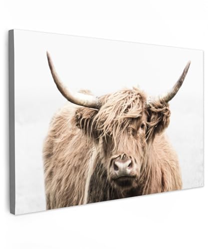 MuchoWow Leinwand Bilder, Einzigartige Wanddeko mit Rahmen, Schottischer Highlander - Tiere - Fell, Wandbilder Wohnzimmer, Deko Schlafzimmer 150x100 cm von MuchoWow