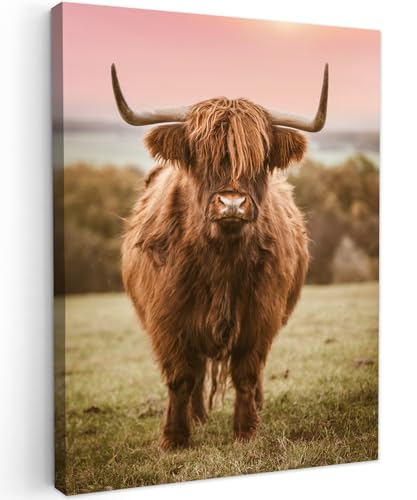 MuchoWow Leinwand Bilder, Einzigartige Wanddeko mit Rahmen, Schottischer Highlander - Kuh - Horizont, Wandbilder Wohnzimmer, Deko Schlafzimmer 90x120 cm von MuchoWow