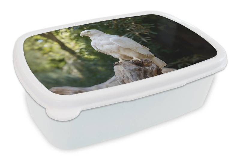 MuchoWow Lunchbox Adler - Holz - Weiß - Pflanzen, Kunststoff, (2-tlg), Brotdose Schule oder Arbeit, Brotbox für Kinder und Erwachsene von MuchoWow