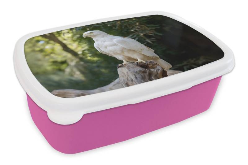 MuchoWow Lunchbox Adler - Holz - Weiß - Pflanzen, Kunststoff, (2-tlg), Brotdosen, Lunch Box, Brotbox für Kinder und Erwachsene von MuchoWow