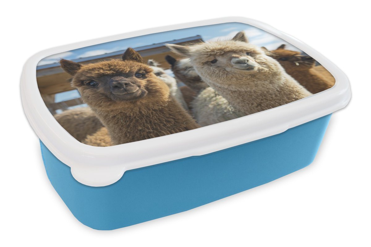 MuchoWow Lunchbox Alpaka - Fröhlich - Braun - Weiß, Kunststoff, (2-tlg), Brotdose für kindergarten, Vesperbox, Snackbox, Brotbox, Jungen von MuchoWow