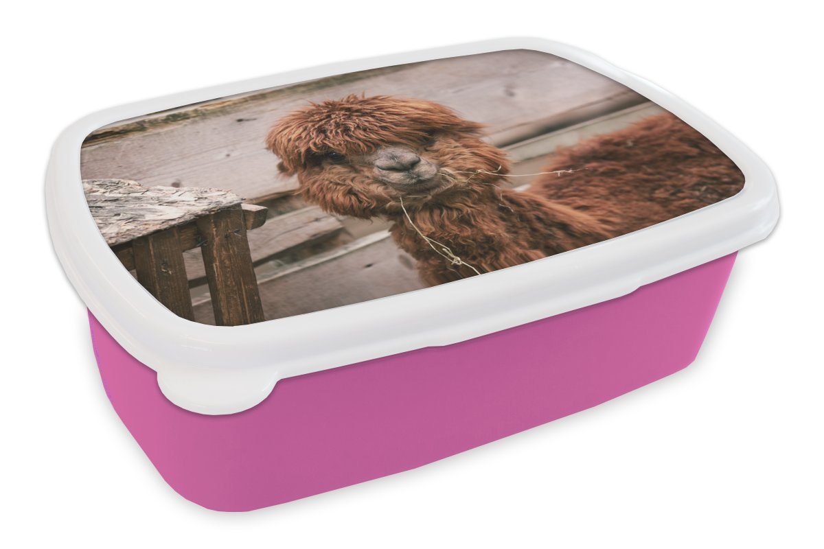 MuchoWow Lunchbox Alpaka - Tiere - Fell, Kunststoff, (2-tlg), Brotbox für Erwachsene, Brotdose Kinder, Snackbox, Mädchen, Kunststoff von MuchoWow