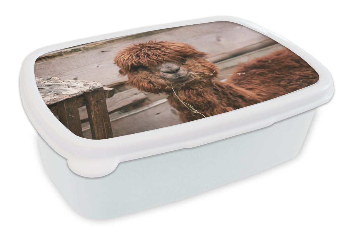 MuchoWow Lunchbox Alpaka - Tiere - Fell, Kunststoff, (2-tlg), Brotbox für Kinder und Erwachsene, Brotdose, für Jungs und Mädchen von MuchoWow