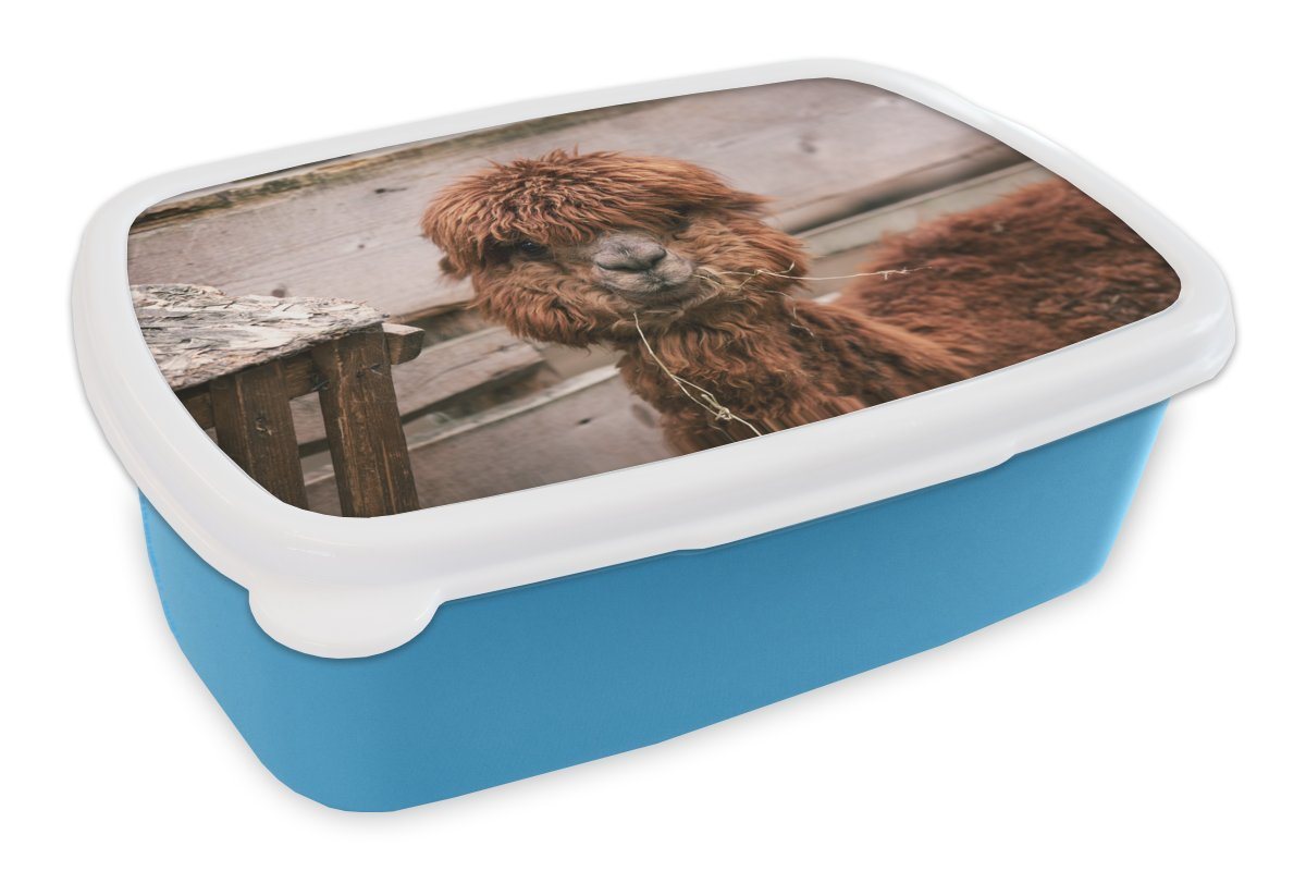 MuchoWow Lunchbox Alpaka - Tiere - Fell, Kunststoff, (2-tlg), Brotdose für kindergarten, Vesperbox, Snackbox, Brotbox, Jungen von MuchoWow