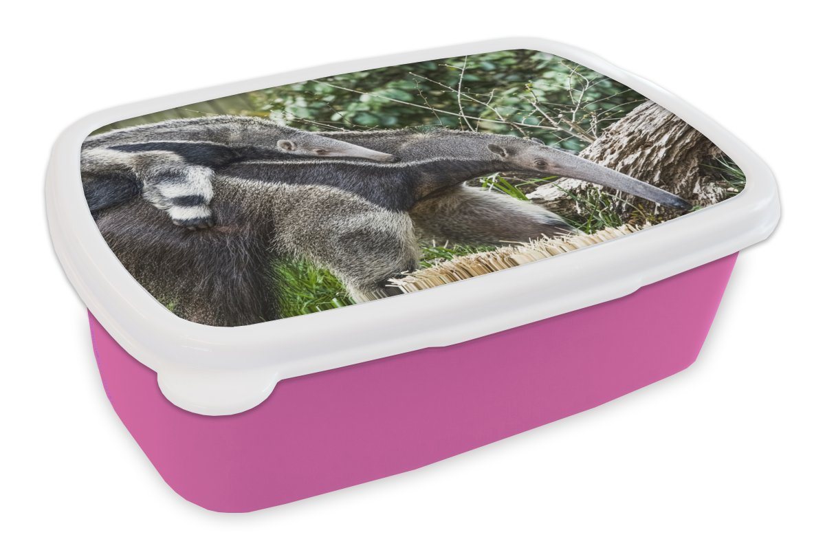 MuchoWow Lunchbox Ameisenbär - Pflanze - Tier, Kunststoff, (2-tlg), Brotbox für Erwachsene, Brotdose Kinder, Snackbox, Mädchen, Kunststoff von MuchoWow