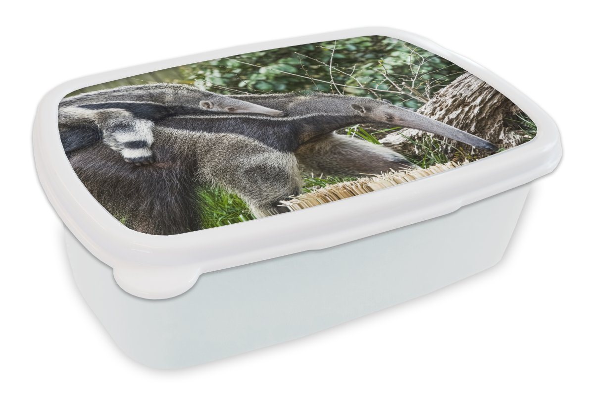 MuchoWow Lunchbox Ameisenbär - Pflanze - Tier, Kunststoff, (2-tlg), Brotbox für Kinder und Erwachsene, Brotdose, für Jungs und Mädchen von MuchoWow