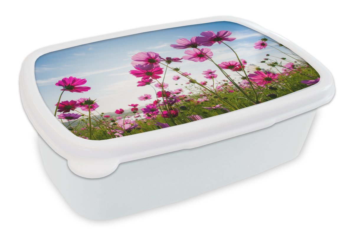 MuchoWow Lunchbox Blumen - Rosa - Cosmea, Kunststoff, (2-tlg), Brotbox für Kinder und Erwachsene, Brotdose, für Jungs und Mädchen von MuchoWow