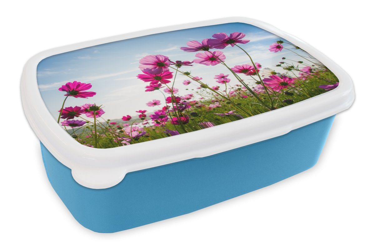 MuchoWow Lunchbox Blumen - Rosa - Cosmea, Kunststoff, (2-tlg), Brotdose für kindergarten, Vesperbox, Snackbox, Brotbox, Jungen von MuchoWow
