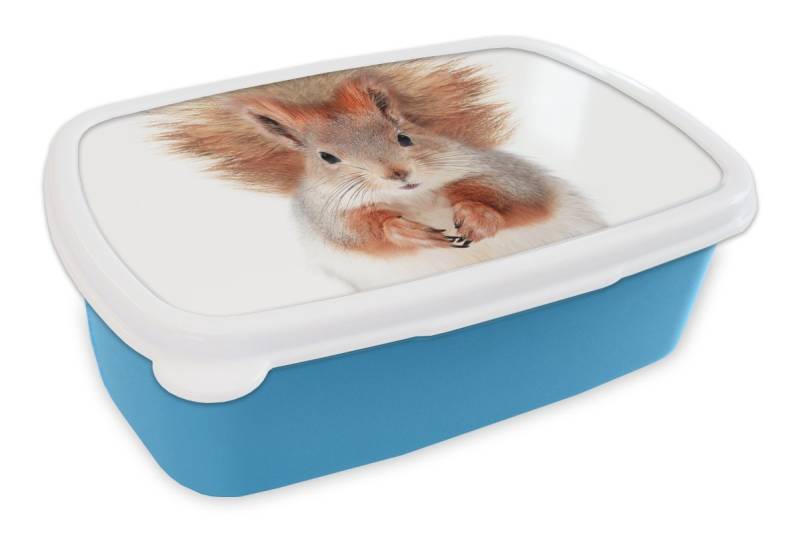 MuchoWow Lunchbox Eichhörnchen - Tiere - Natur - Orange - Weiß, Kunststoff, (2-tlg), Brotdose, Lunchbox, Brotbox für Kinder und Erwachsene von MuchoWow