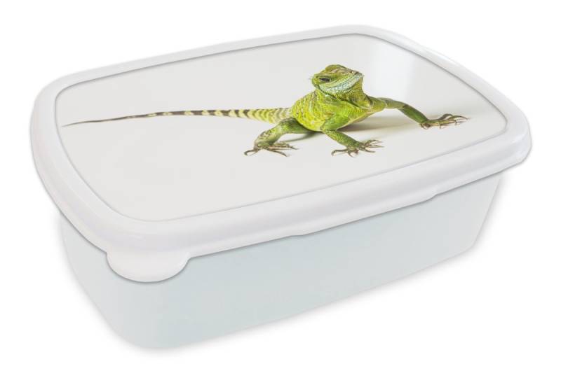 MuchoWow Lunchbox Eidechse - Reptil - Weiß, Kunststoff, (2-tlg), Brotdose Schule oder Arbeit, Brotbox für Kinder und Erwachsene von MuchoWow