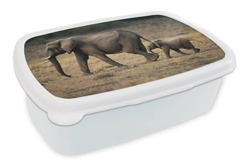 MuchoWow Lunchbox Elefant - Kalb - Kenia, Kunststoff, (2-tlg), Brotdose Schule oder Arbeit, Brotbox für Kinder und Erwachsene von MuchoWow