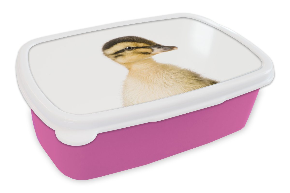 MuchoWow Lunchbox Ente - Gelb - Tiere - Natur, Kunststoff, (2-tlg), Brotbox für Erwachsene, Brotdose Kinder, Snackbox, Mädchen, Kunststoff von MuchoWow