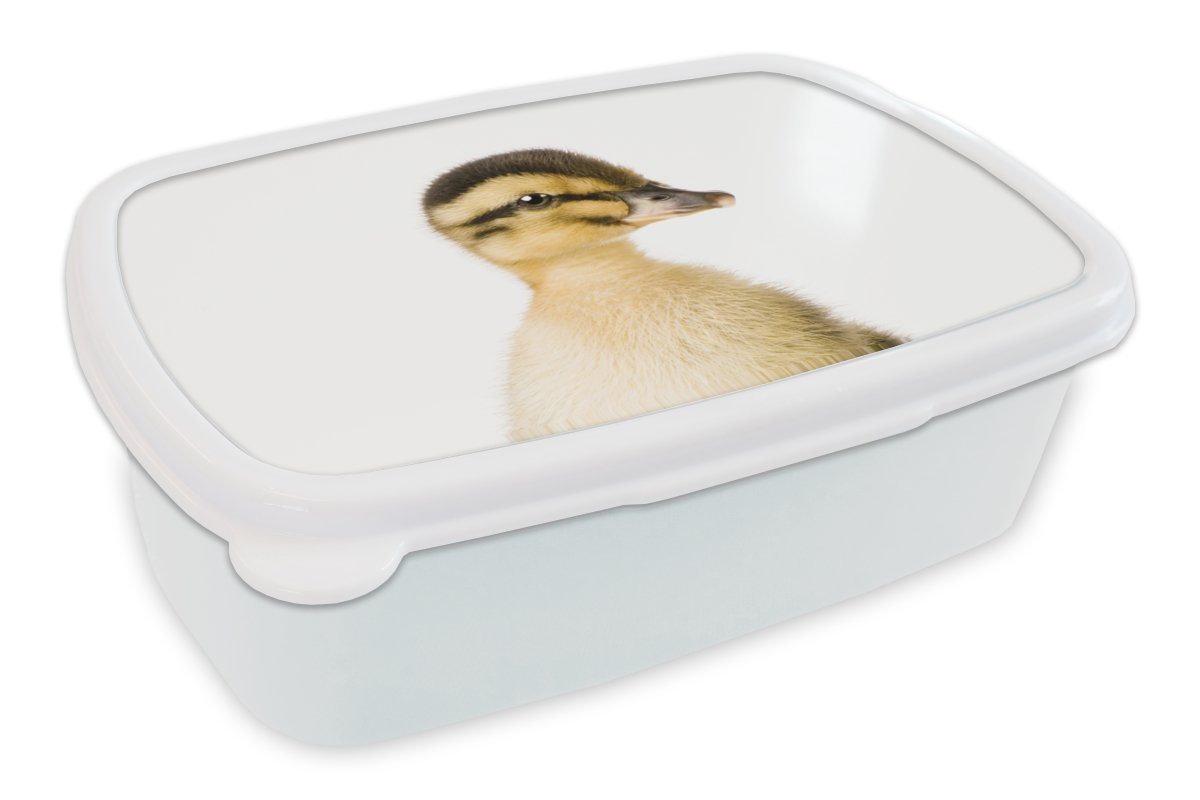 MuchoWow Lunchbox Ente - Gelb - Tiere - Natur, Kunststoff, (2-tlg), Brotbox für Kinder und Erwachsene, Brotdose, für Jungs und Mädchen von MuchoWow