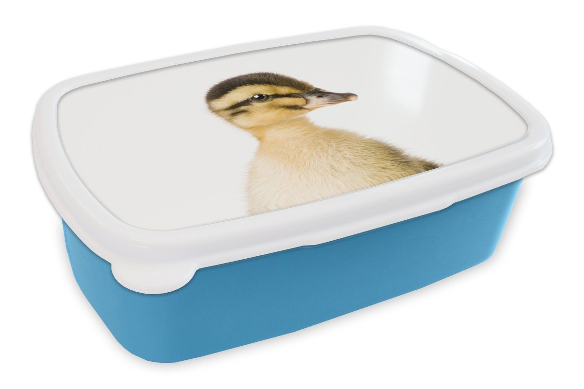 MuchoWow Lunchbox Ente - Gelb - Tiere - Natur, Kunststoff, (2-tlg), Brotdose für kindergarten, Vesperbox, Snackbox, Brotbox, Jungen von MuchoWow