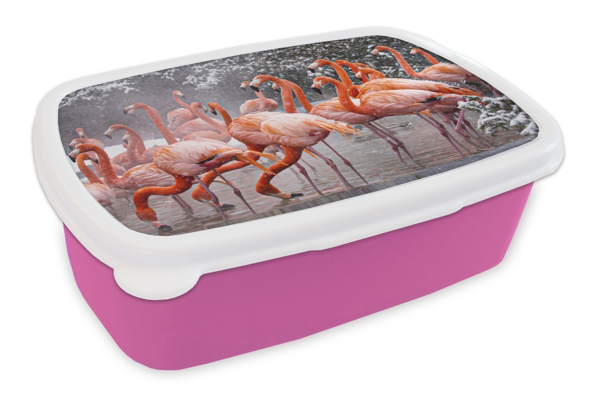 MuchoWow Lunchbox Flamingo - Schnee - Wasser, Kunststoff, (2-tlg), Brotbox für Erwachsene, Brotdose Kinder, Snackbox, Mädchen, Kunststoff von MuchoWow