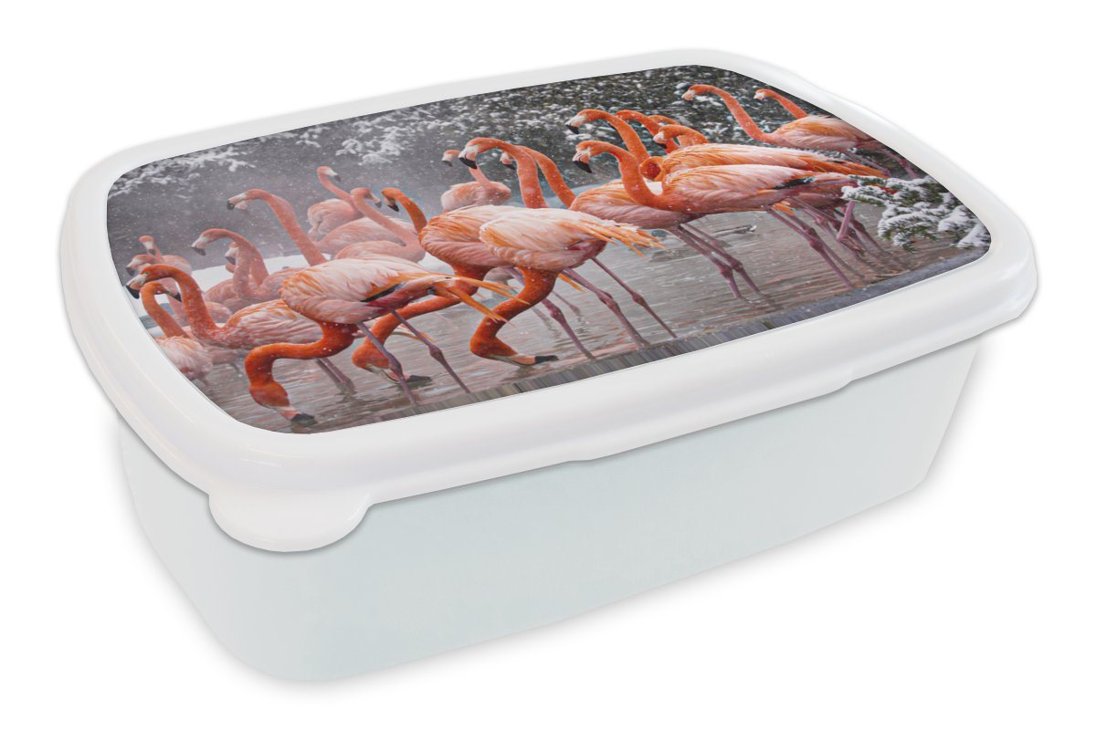 MuchoWow Lunchbox Flamingo - Schnee - Wasser, Kunststoff, (2-tlg), Brotbox für Kinder und Erwachsene, Brotdose, für Jungs und Mädchen von MuchoWow