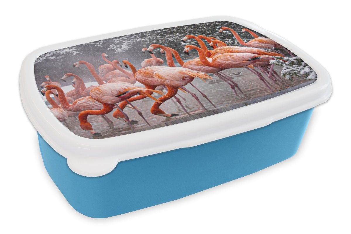 MuchoWow Lunchbox Flamingo - Schnee - Wasser, Kunststoff, (2-tlg), Brotdose für kindergarten, Vesperbox, Snackbox, Brotbox, Jungen von MuchoWow