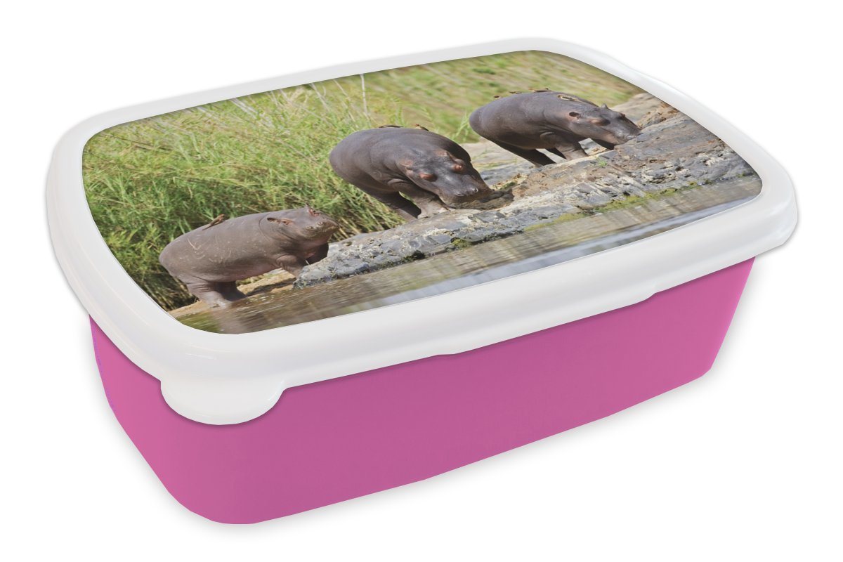 MuchoWow Lunchbox Flusspferde - Wasser - Südafrika, Kunststoff, (2-tlg), Brotbox für Erwachsene, Brotdose Kinder, Snackbox, Mädchen, Kunststoff von MuchoWow
