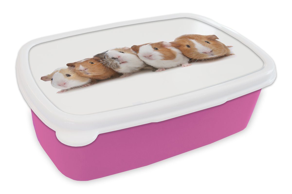 MuchoWow Lunchbox Fünf Meerschweinchen in einer Reihe, Kunststoff, (2-tlg), Brotdosen, Lunch Box, Brotbox für Kinder und Erwachsene MuchoWow Lunchbox Fünf Meerschweinchen in einer Reihe, Kunststoff, (2-tlg), Brotdosen, Lunch Box, Brotbox für Kinder und Erwachsene von MuchoWow