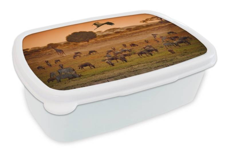 MuchoWow Lunchbox Gnus beim Grasen zwischen anderen Wildtieren in Kenia, Kunststoff, (2-tlg), Brotdose Schule oder Arbeit, Brotbox für Kinder und Erwachsene von MuchoWow