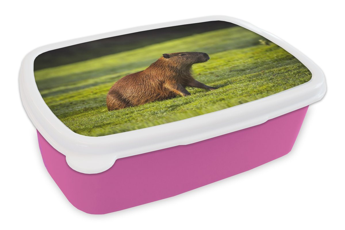 MuchoWow Lunchbox Goldene Sonnenstrahlen über dem Capybara, Kunststoff, (2-tlg), Brotbox für Erwachsene, Brotdose Kinder, Snackbox, Mädchen, Kunststoff von MuchoWow