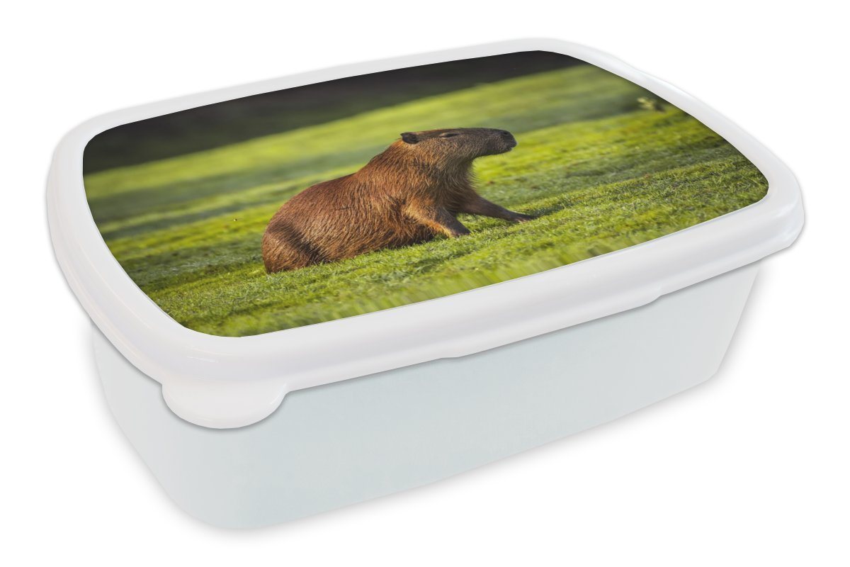 MuchoWow Lunchbox Goldene Sonnenstrahlen über dem Capybara, Kunststoff, (2-tlg), Brotbox für Kinder und Erwachsene, Brotdose, für Jungs und Mädchen von MuchoWow