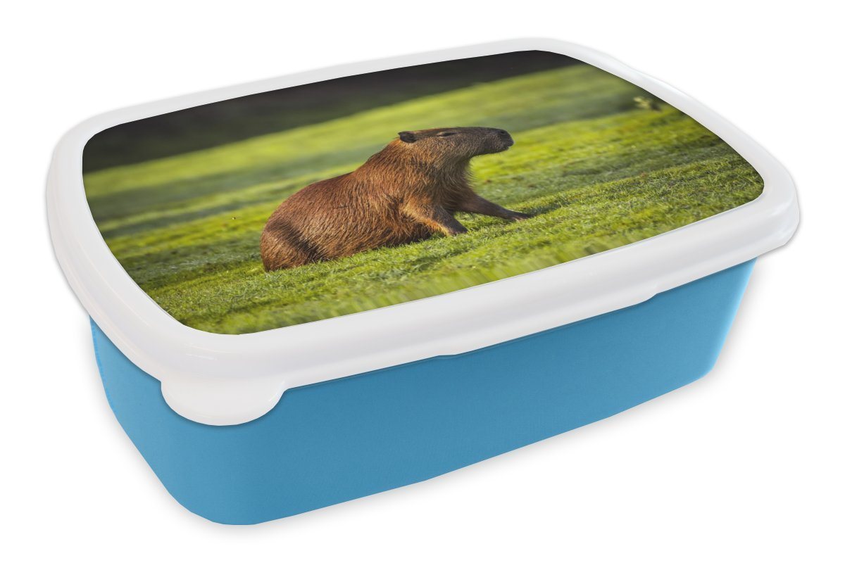 MuchoWow Lunchbox Goldene Sonnenstrahlen über dem Capybara, Kunststoff, (2-tlg), Brotdose für kindergarten, Vesperbox, Snackbox, Brotbox, Jungen von MuchoWow