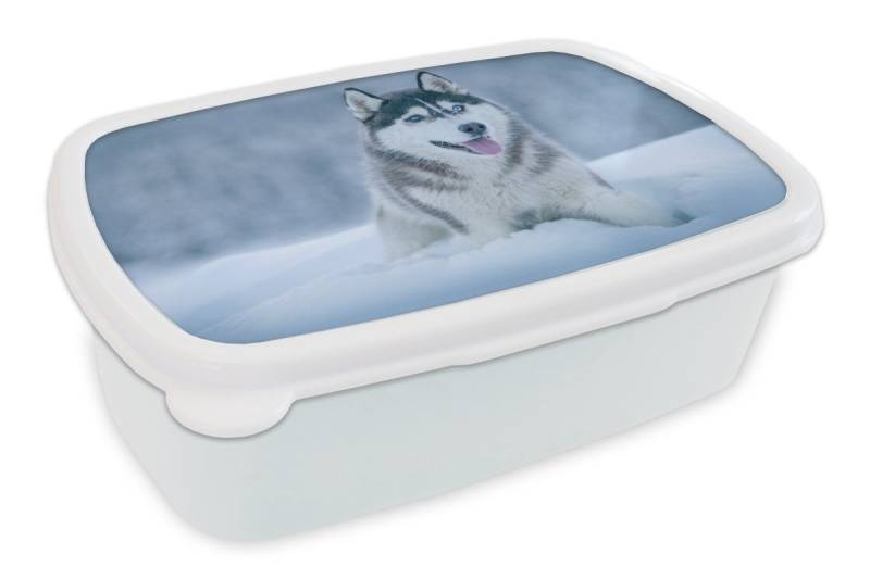 MuchoWow Lunchbox Husky - Schnee - Natur, Kunststoff, (2-tlg), Brotdose Schule oder Arbeit, Brotbox für Kinder und Erwachsene von MuchoWow