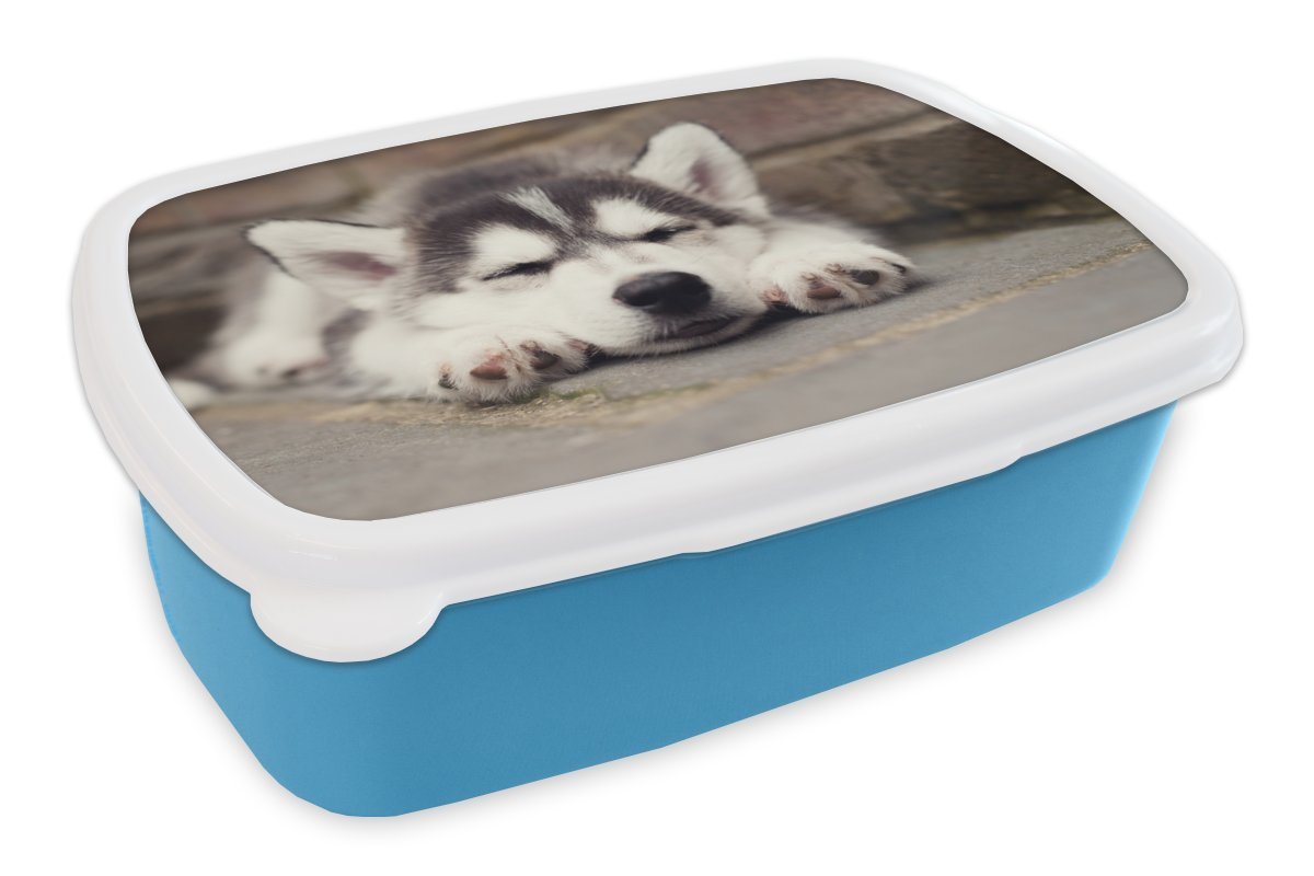 MuchoWow Lunchbox Husky-Welpe schläft, Kunststoff, (2-tlg), Brotdose für kindergarten, Vesperbox, Snackbox, Brotbox, Jungen von MuchoWow