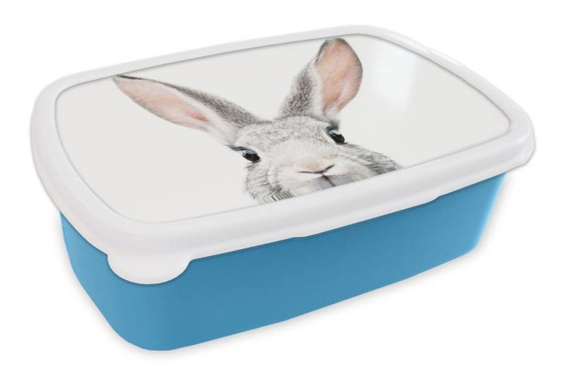MuchoWow Lunchbox Kaninchen - Tiere - Natur - Weiß, Kunststoff, (2-tlg), Brotdose, Lunchbox, Brotbox für Kinder und Erwachsene von MuchoWow