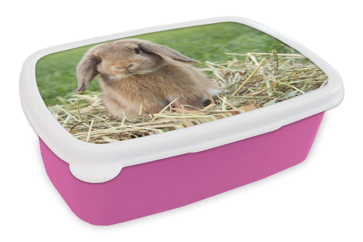 MuchoWow Lunchbox Kaninchen in grüner Landschaft, Kunststoff, (2-tlg), Brotbox für Erwachsene, Brotdose Kinder, Snackbox, Mädchen, Kunststoff von MuchoWow