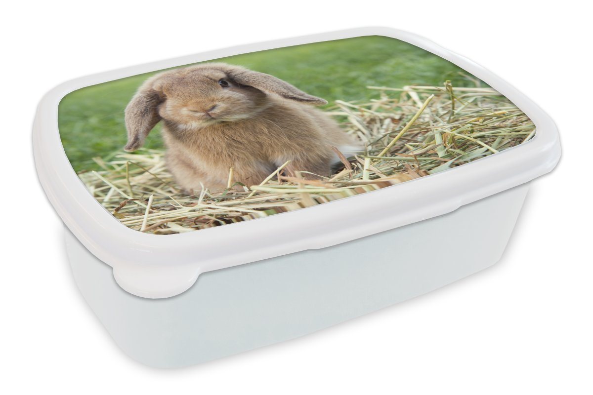 MuchoWow Lunchbox Kaninchen in grüner Landschaft, Kunststoff, (2-tlg), Brotbox für Kinder und Erwachsene, Brotdose, für Jungs und Mädchen von MuchoWow