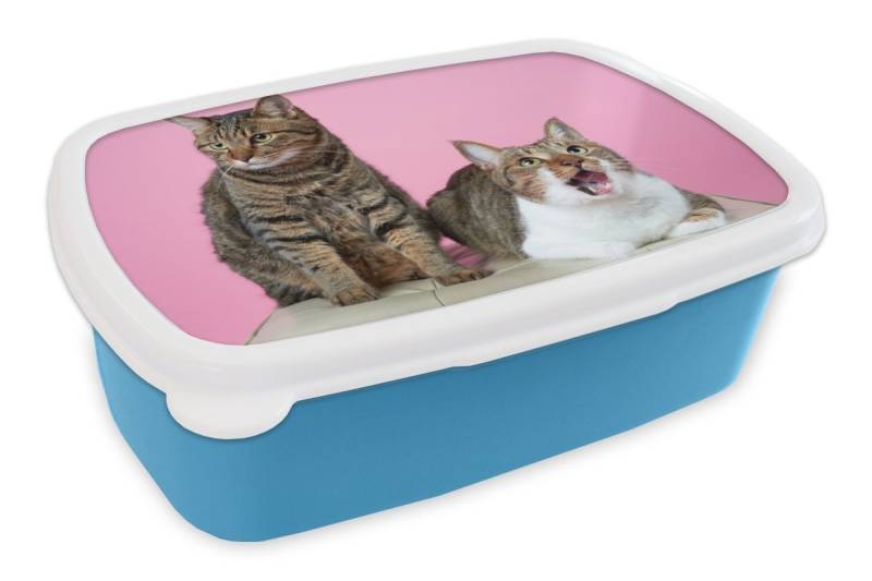 MuchoWow Lunchbox Katze - Rosa - Pouf - Mädchen - Kinder - Kinder, Kunststoff, (2-tlg), Brotdose, Lunchbox, Brotbox für Kinder und Erwachsene von MuchoWow