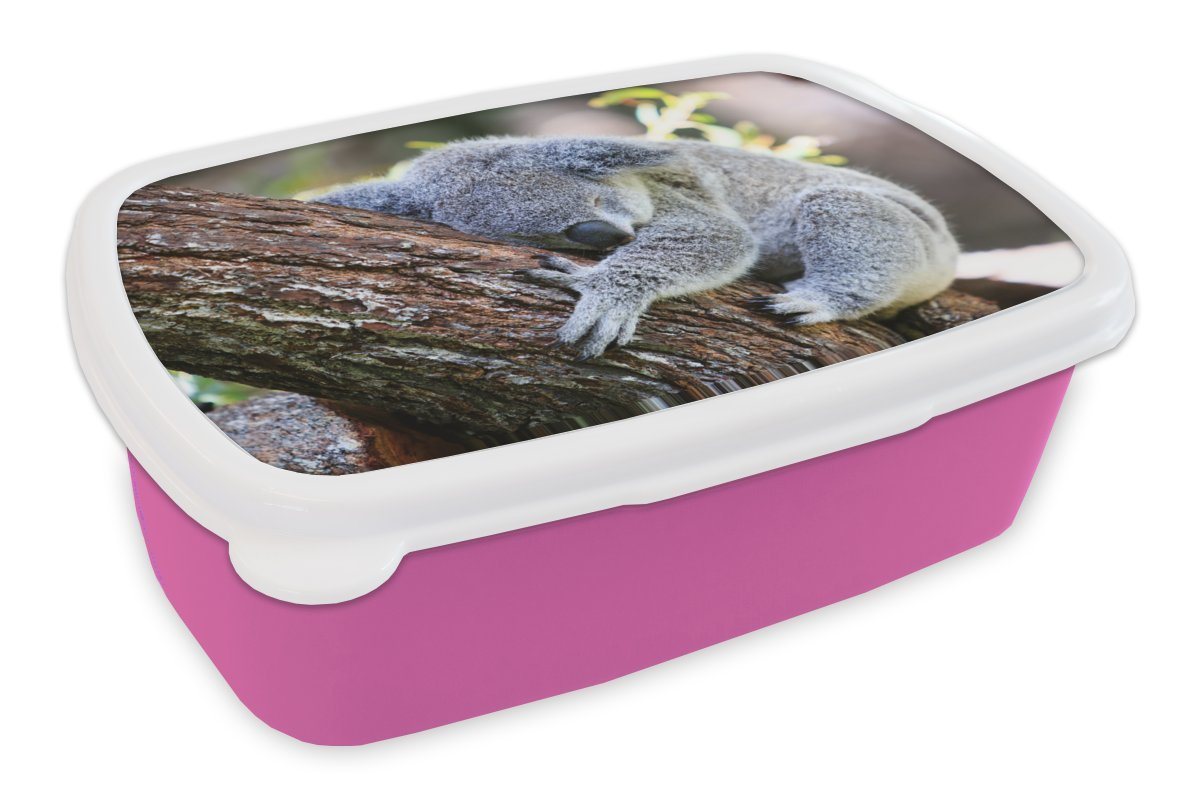 MuchoWow Lunchbox Koala - Baum - Schlaf - Kinder - Jungen - Mädchen, Kunststoff, (2-tlg), Brotbox für Erwachsene, Brotdose Kinder, Snackbox, Mädchen, Kunststoff von MuchoWow