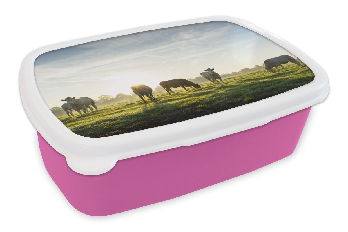 MuchoWow Lunchbox Kühe - Sonne - Gras, Kunststoff, (2-tlg), Brotbox für Erwachsene, Brotdose Kinder, Snackbox, Mädchen, Kunststoff von MuchoWow