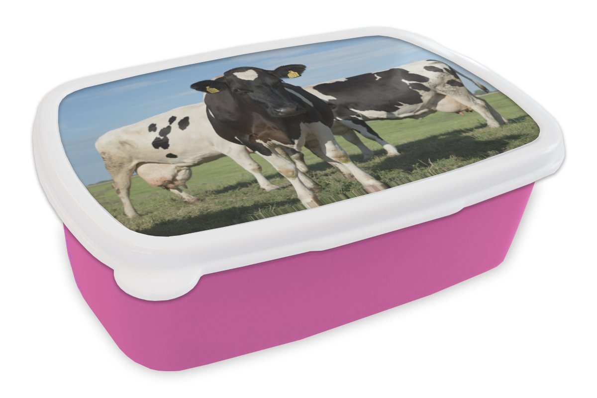 MuchoWow Lunchbox Kuh - Gras - Blau - Schatten, Kunststoff, (2-tlg), Brotbox für Erwachsene, Brotdose Kinder, Snackbox, Mädchen, Kunststoff von MuchoWow