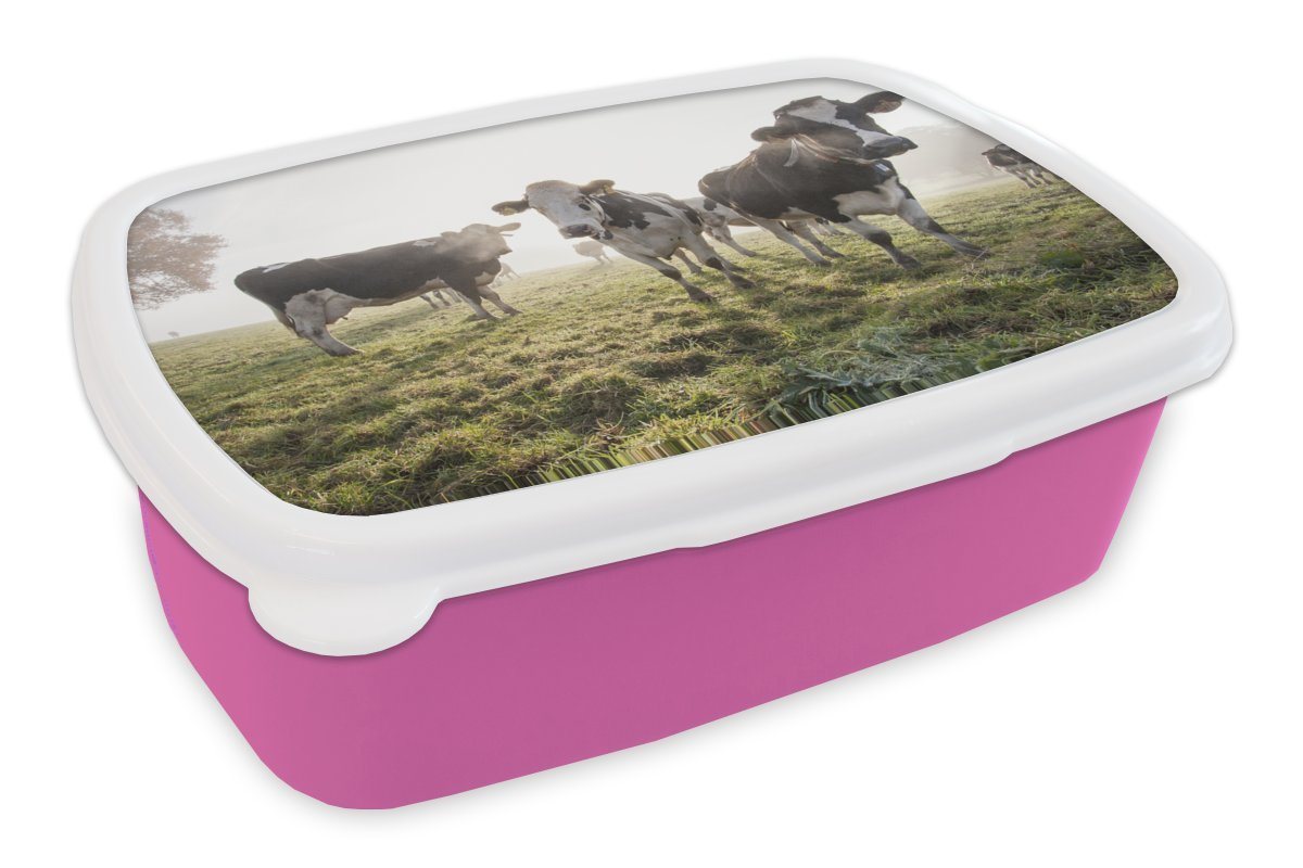 MuchoWow Lunchbox Kuh - Gras - Nebel, Kunststoff, (2-tlg), Brotbox für Erwachsene, Brotdose Kinder, Snackbox, Mädchen, Kunststoff von MuchoWow
