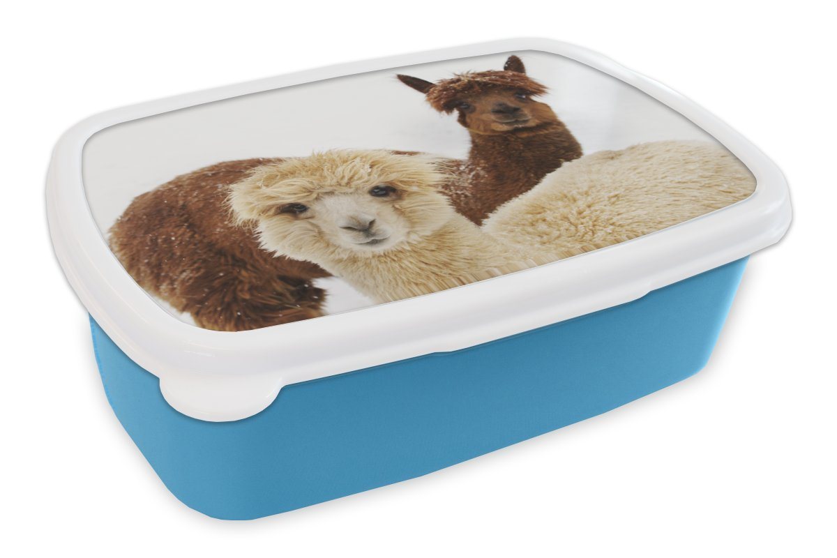 MuchoWow Lunchbox Lama - Tier - Mantel, Kunststoff, (2-tlg), Brotdose für kindergarten, Vesperbox, Snackbox, Brotbox, Jungen von MuchoWow