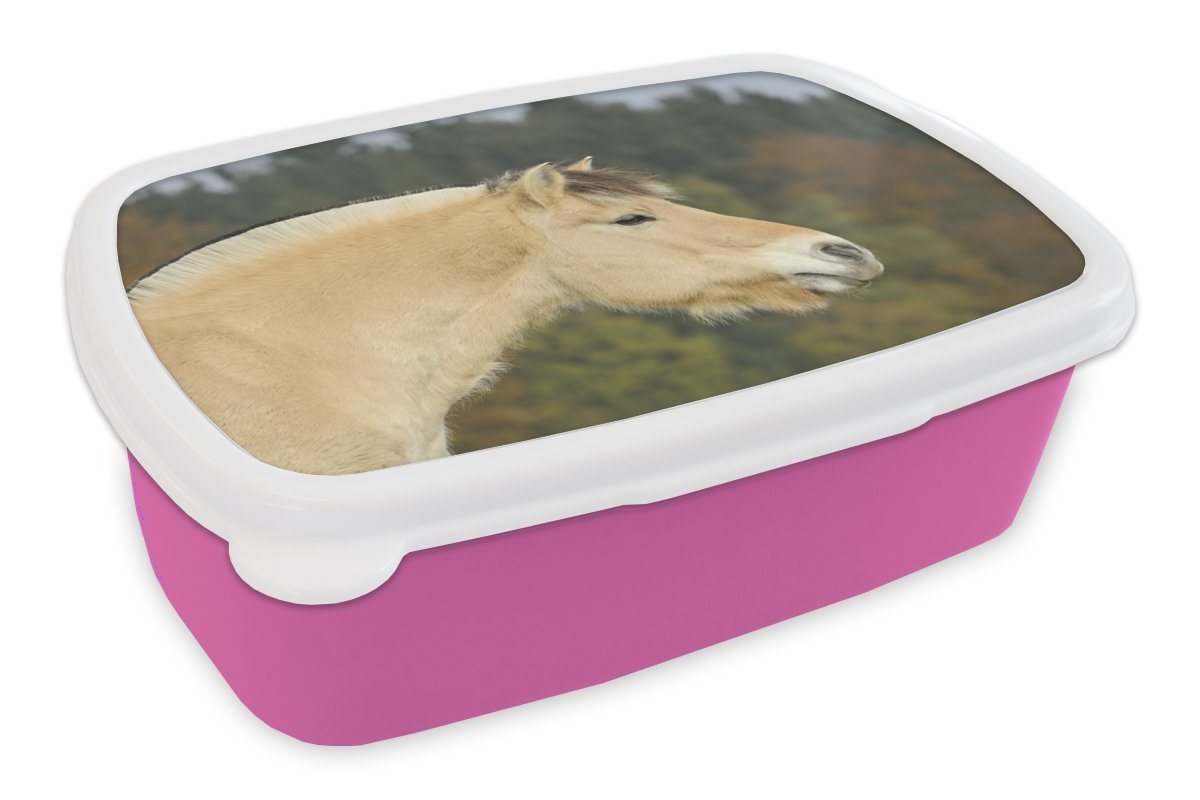 MuchoWow Lunchbox Nahaufnahme eines hellbraunen Fjordpferdes, Kunststoff, (2-tlg), Brotbox für Erwachsene, Brotdose Kinder, Snackbox, Mädchen, Kunststoff von MuchoWow