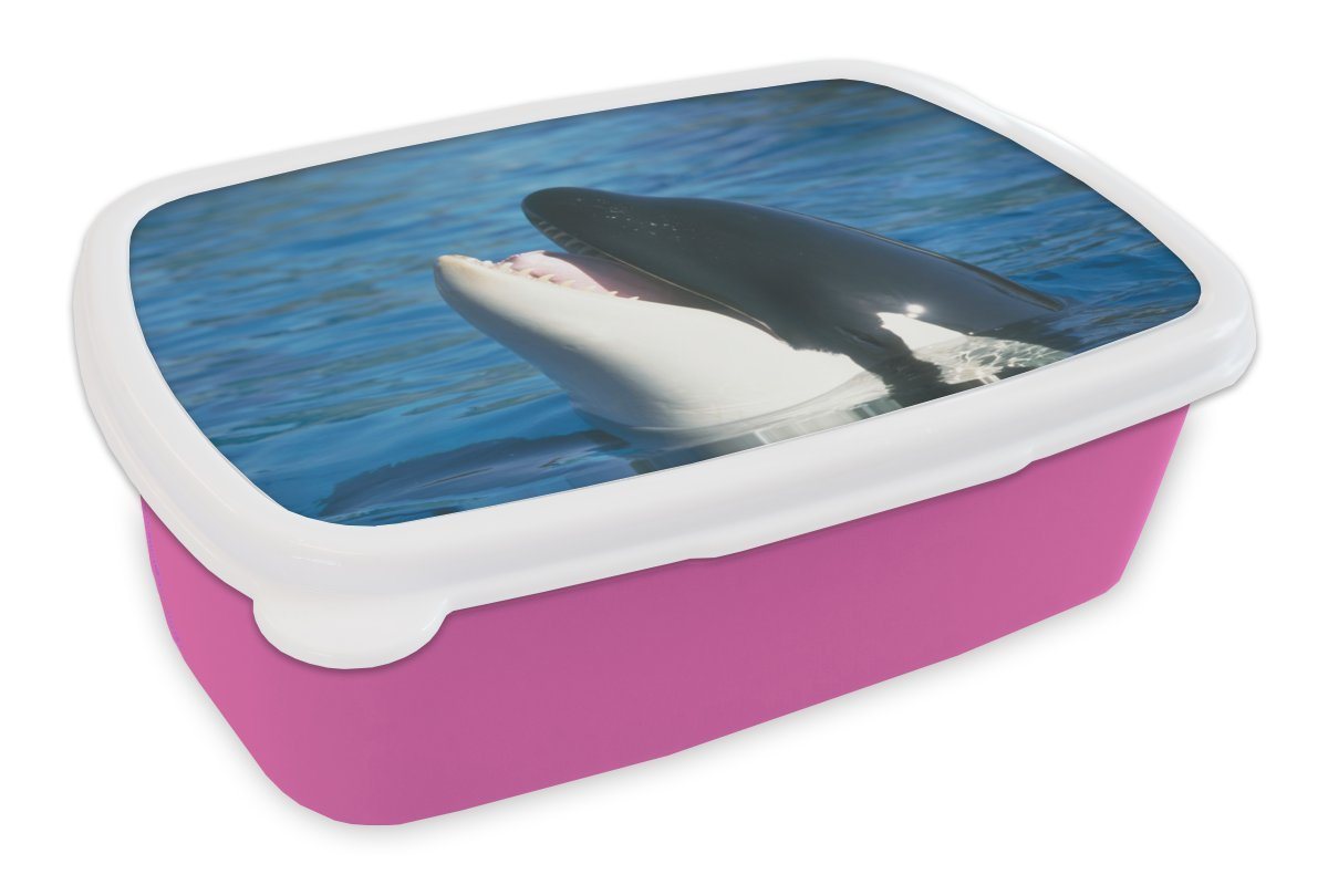 MuchoWow Lunchbox Orca nahe der Wasseroberfläche, Kunststoff, (2-tlg), Brotbox für Erwachsene, Brotdose Kinder, Snackbox, Mädchen, Kunststoff von MuchoWow