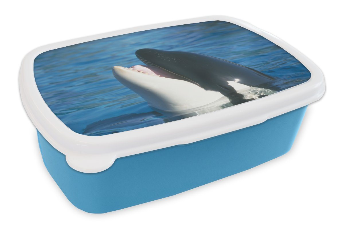 MuchoWow Lunchbox Orca nahe der Wasseroberfläche, Kunststoff, (2-tlg), Brotdose für kindergarten, Vesperbox, Snackbox, Brotbox, Jungen von MuchoWow