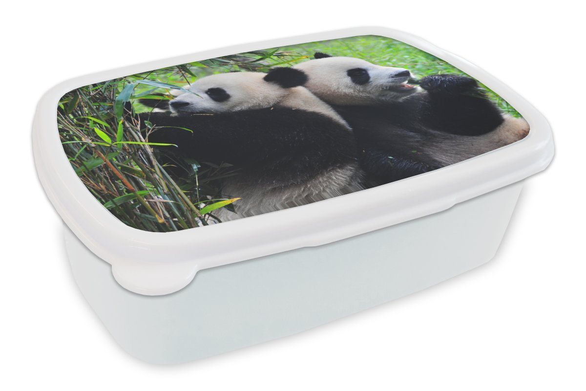 MuchoWow Lunchbox Panda - Bambus - Natur, Kunststoff, (2-tlg), Brotbox für Kinder und Erwachsene, Brotdose, für Jungs und Mädchen von MuchoWow