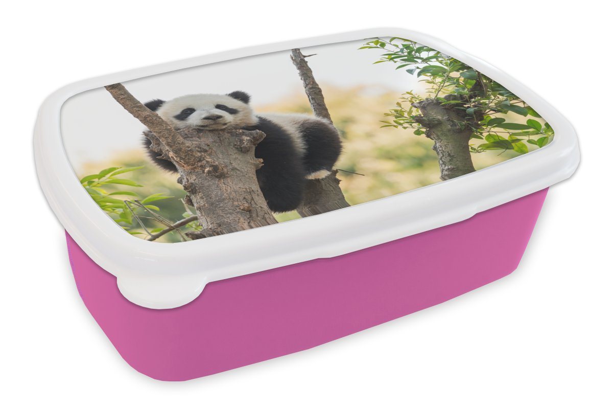 MuchoWow Lunchbox Panda - Baum - Blätter, Kunststoff, (2-tlg), Brotbox für Erwachsene, Brotdose Kinder, Snackbox, Mädchen, Kunststoff von MuchoWow