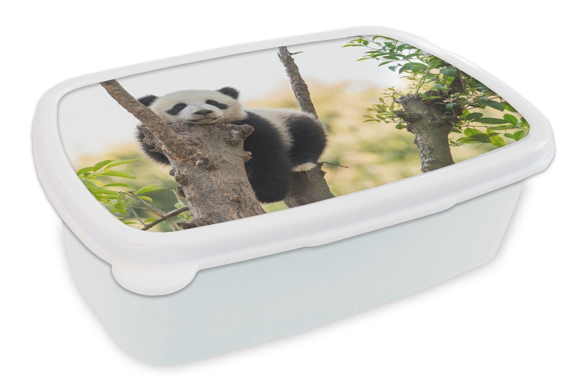 MuchoWow Lunchbox Panda - Baum - Blätter, Kunststoff, (2-tlg), Brotbox für Kinder und Erwachsene, Brotdose, für Jungs und Mädchen von MuchoWow