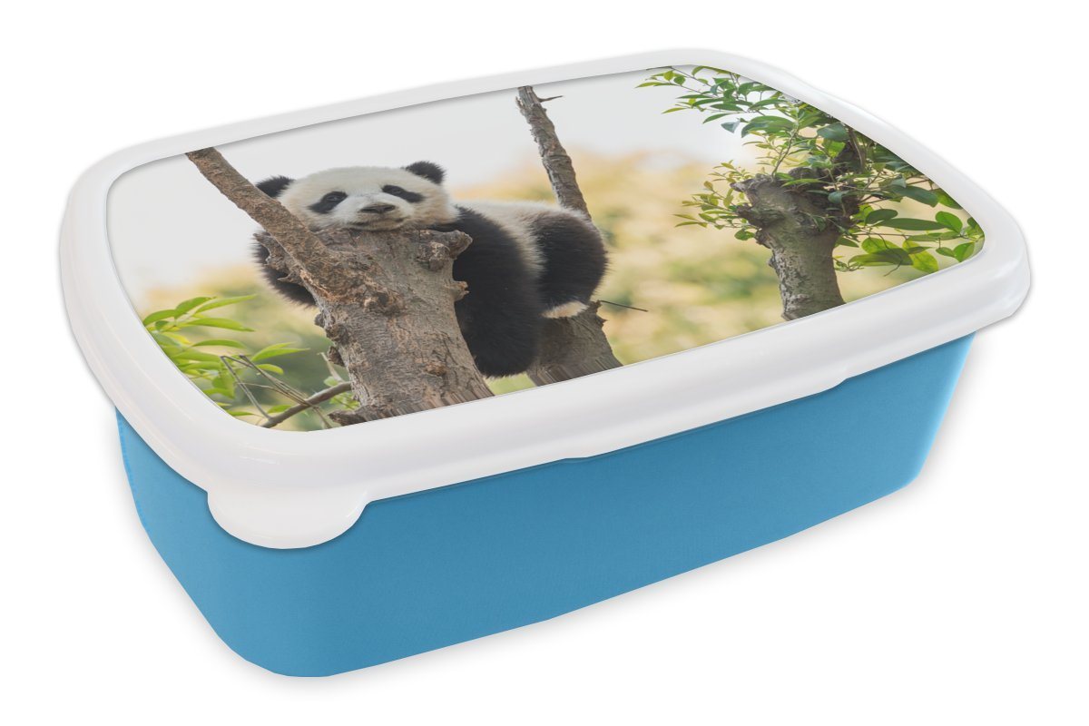 MuchoWow Lunchbox Panda - Baum - Blätter, Kunststoff, (2-tlg), Brotdose für kindergarten, Vesperbox, Snackbox, Brotbox, Jungen von MuchoWow