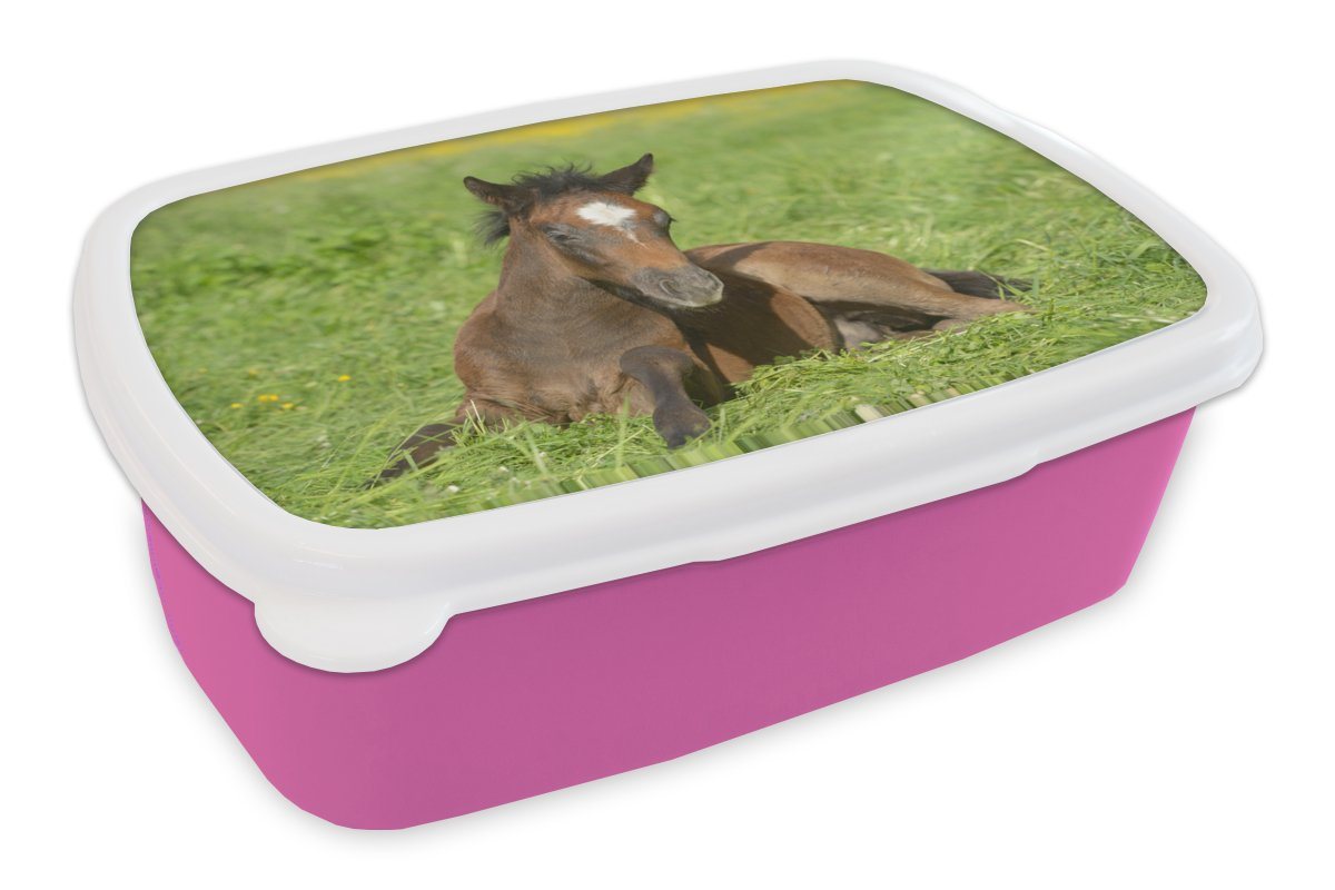 MuchoWow Lunchbox Pferde - Licht - Gras, Kunststoff, (2-tlg), Brotbox für Erwachsene, Brotdose Kinder, Snackbox, Mädchen, Kunststoff von MuchoWow