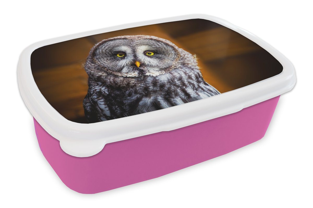 MuchoWow Lunchbox Porträt des Lapplandkauzes, Kunststoff, (2-tlg), Brotbox für Erwachsene, Brotdose Kinder, Snackbox, Mädchen, Kunststoff von MuchoWow