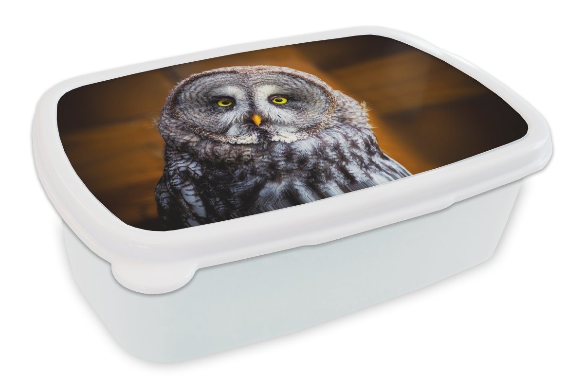 MuchoWow Lunchbox Porträt des Lapplandkauzes, Kunststoff, (2-tlg), Brotbox für Kinder und Erwachsene, Brotdose, für Jungs und Mädchen von MuchoWow