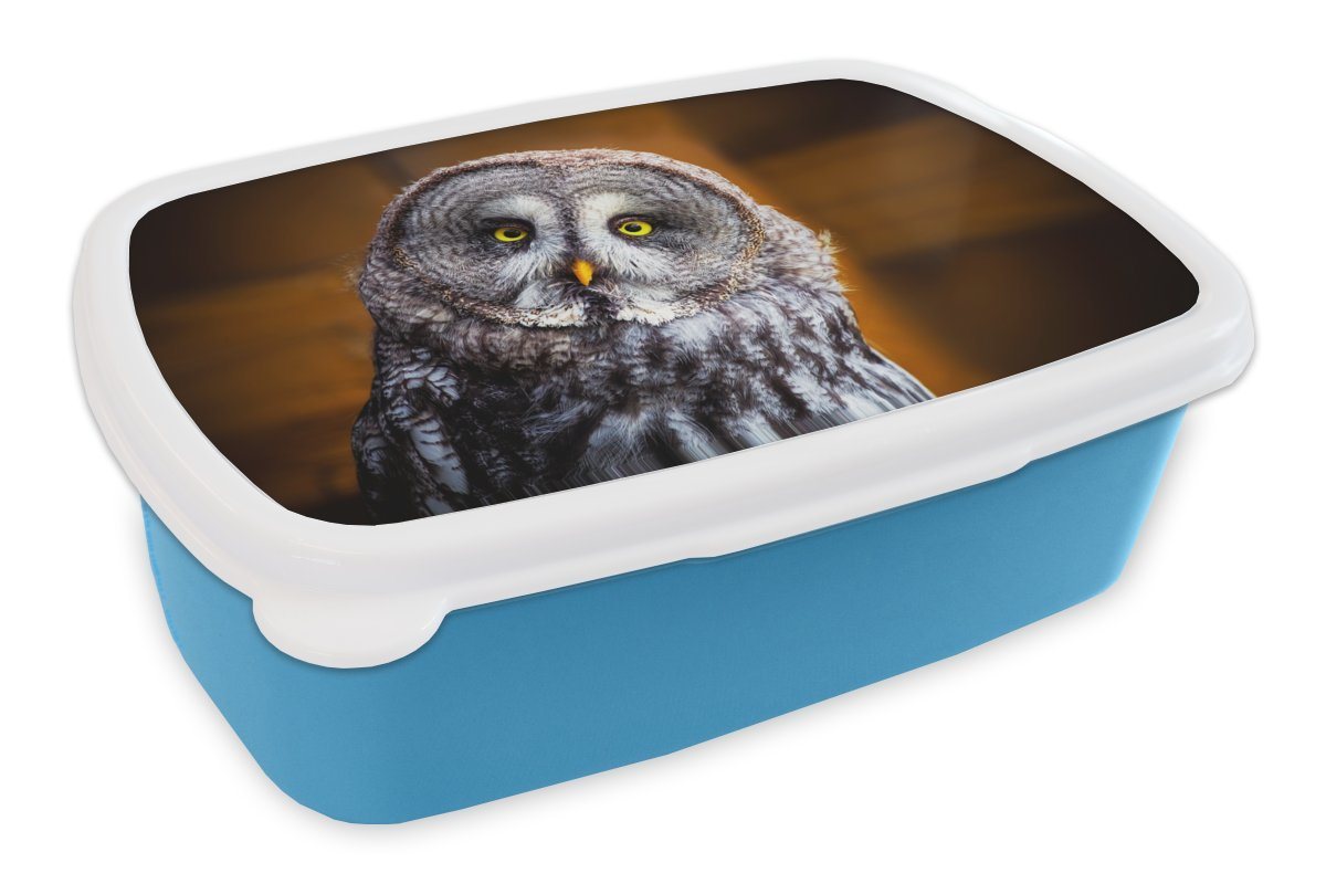 MuchoWow Lunchbox Porträt des Lapplandkauzes, Kunststoff, (2-tlg), Brotdose für kindergarten, Vesperbox, Snackbox, Brotbox, Jungen von MuchoWow